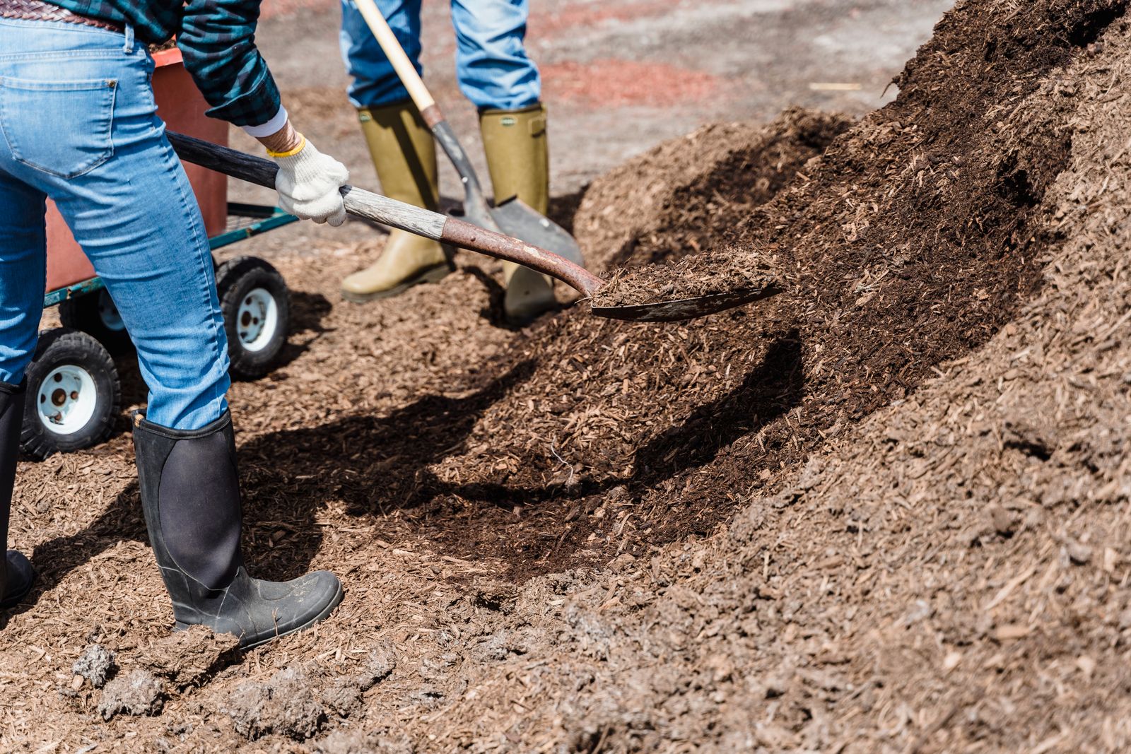 Fresh mulch bed and plantings