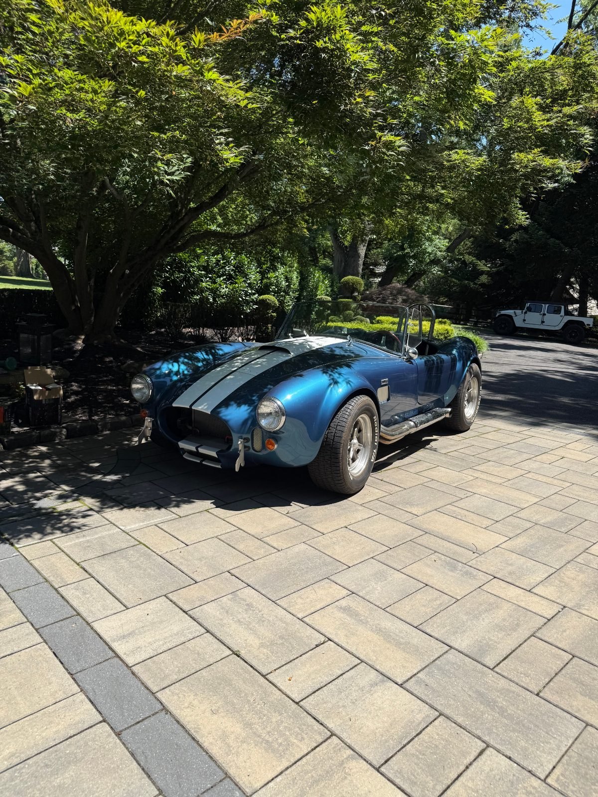 The same Cobra finished, side profile