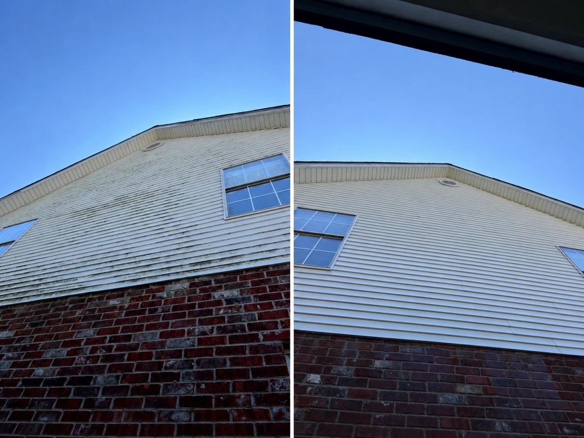 Soft wash roof cleaning