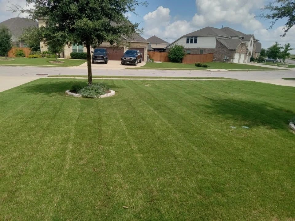 Freshly mowed green lawn