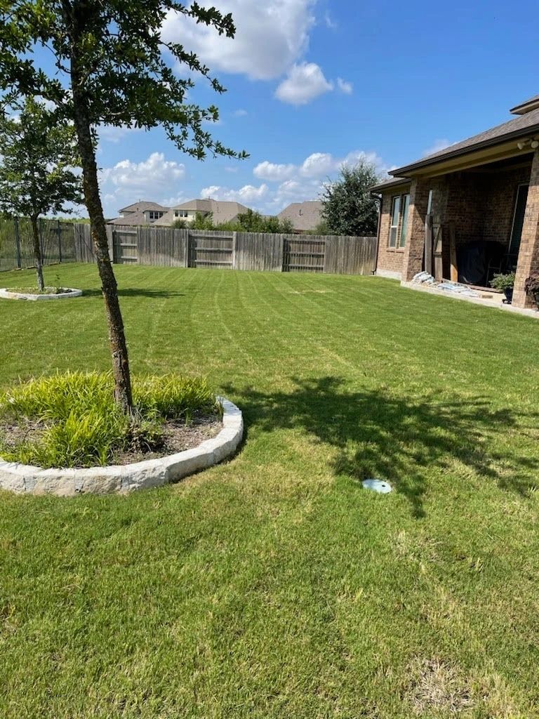 Freshly landscaped residential yard