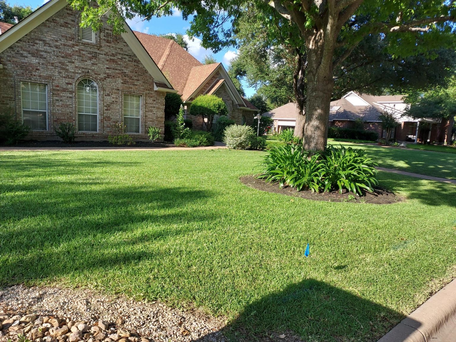 Landscaped garden beds and plantings