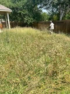 Backyard overgrown with weeds and tall grass before mowing