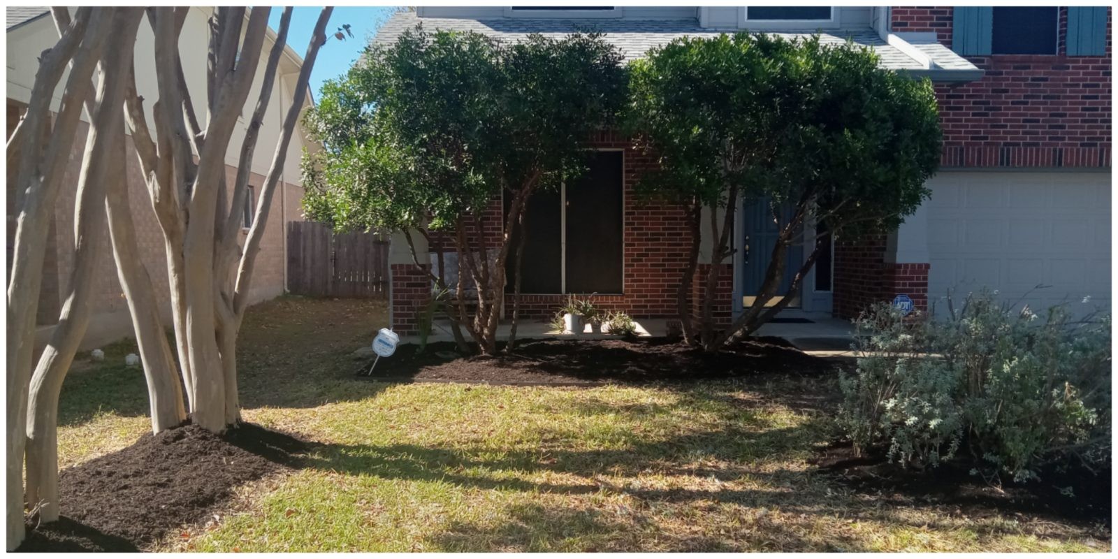 Trimmed trees and bushes framing a home's entryway