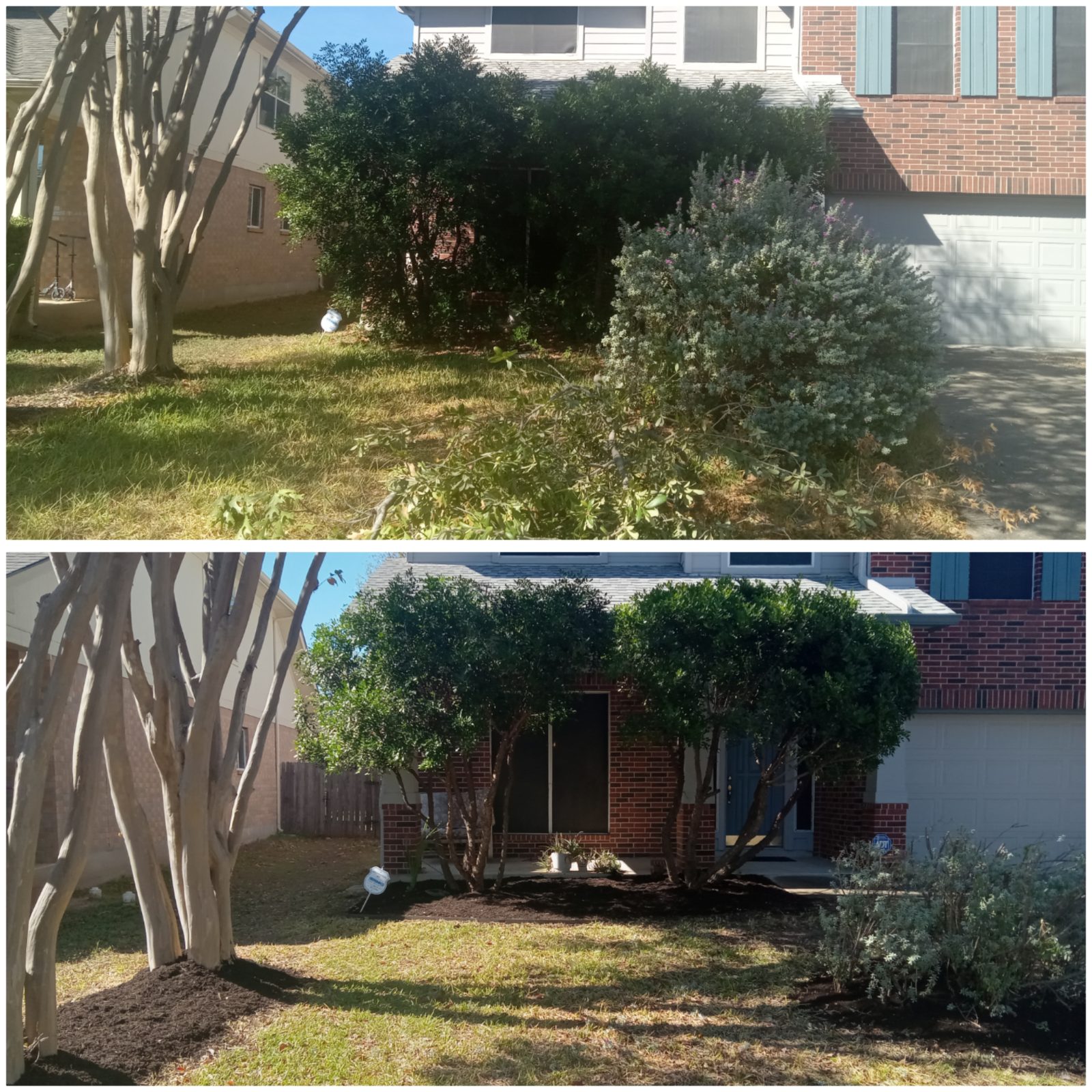 Overgrown bushes and tree before trimming, and the same entryway trimmed back and mulched after