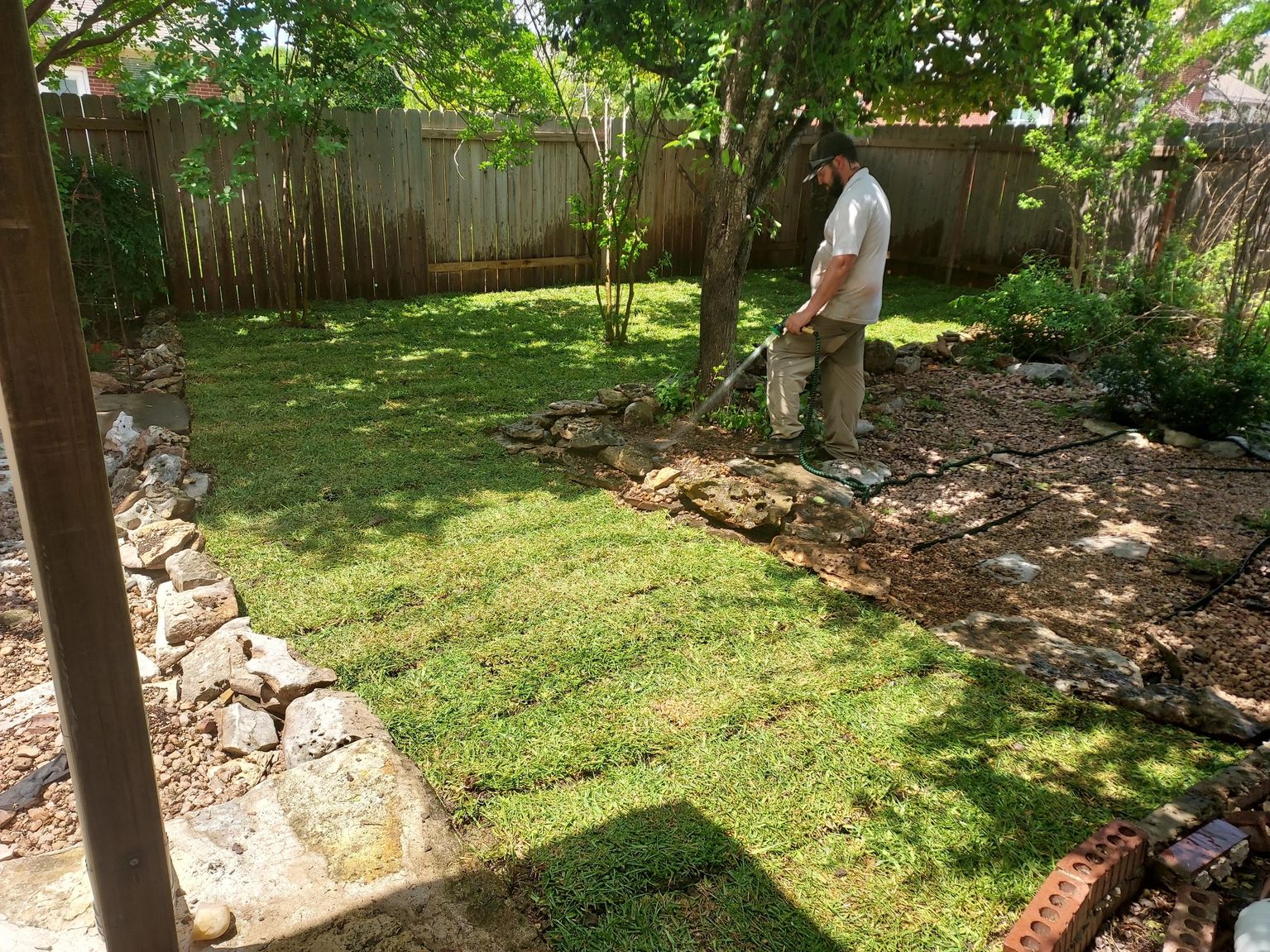 Watering in fresh turf to fill thin, patchy spots