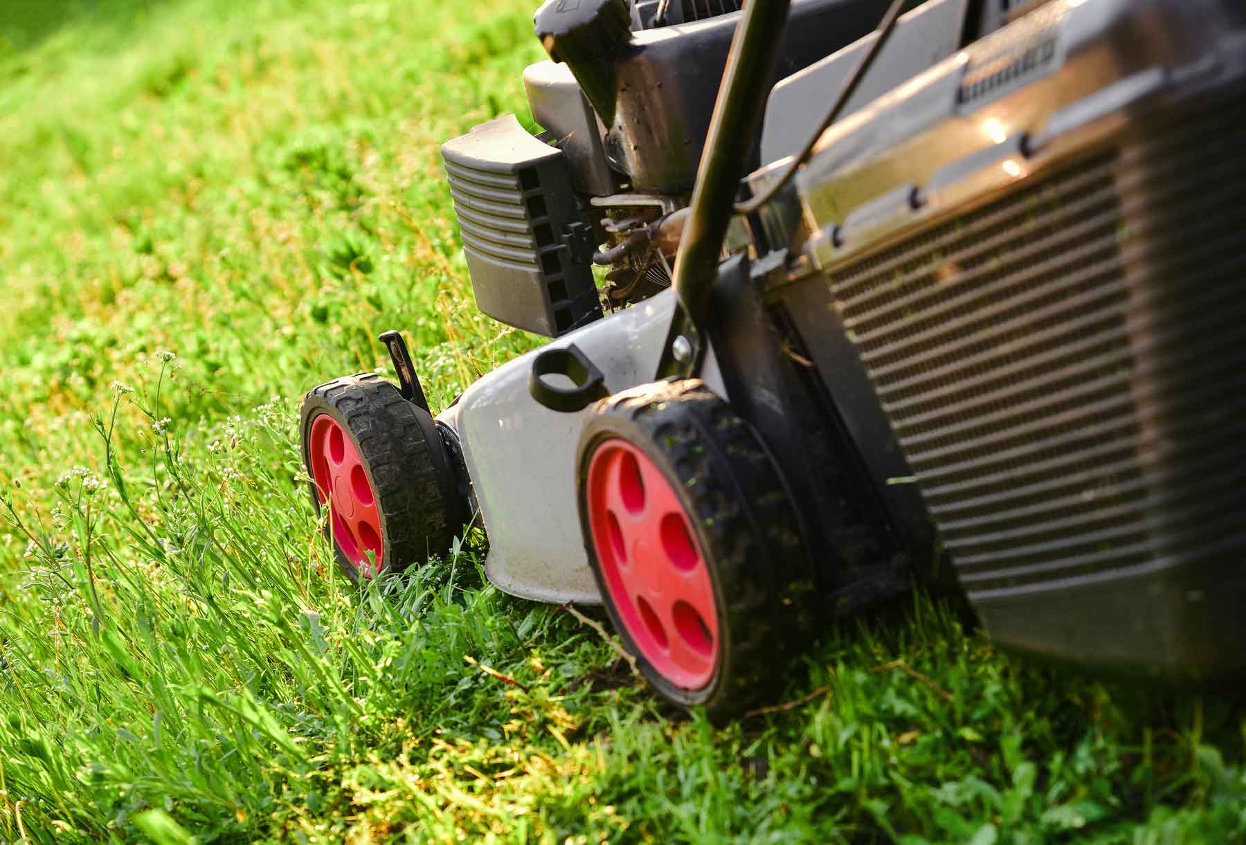 Lawn Care & Mowing