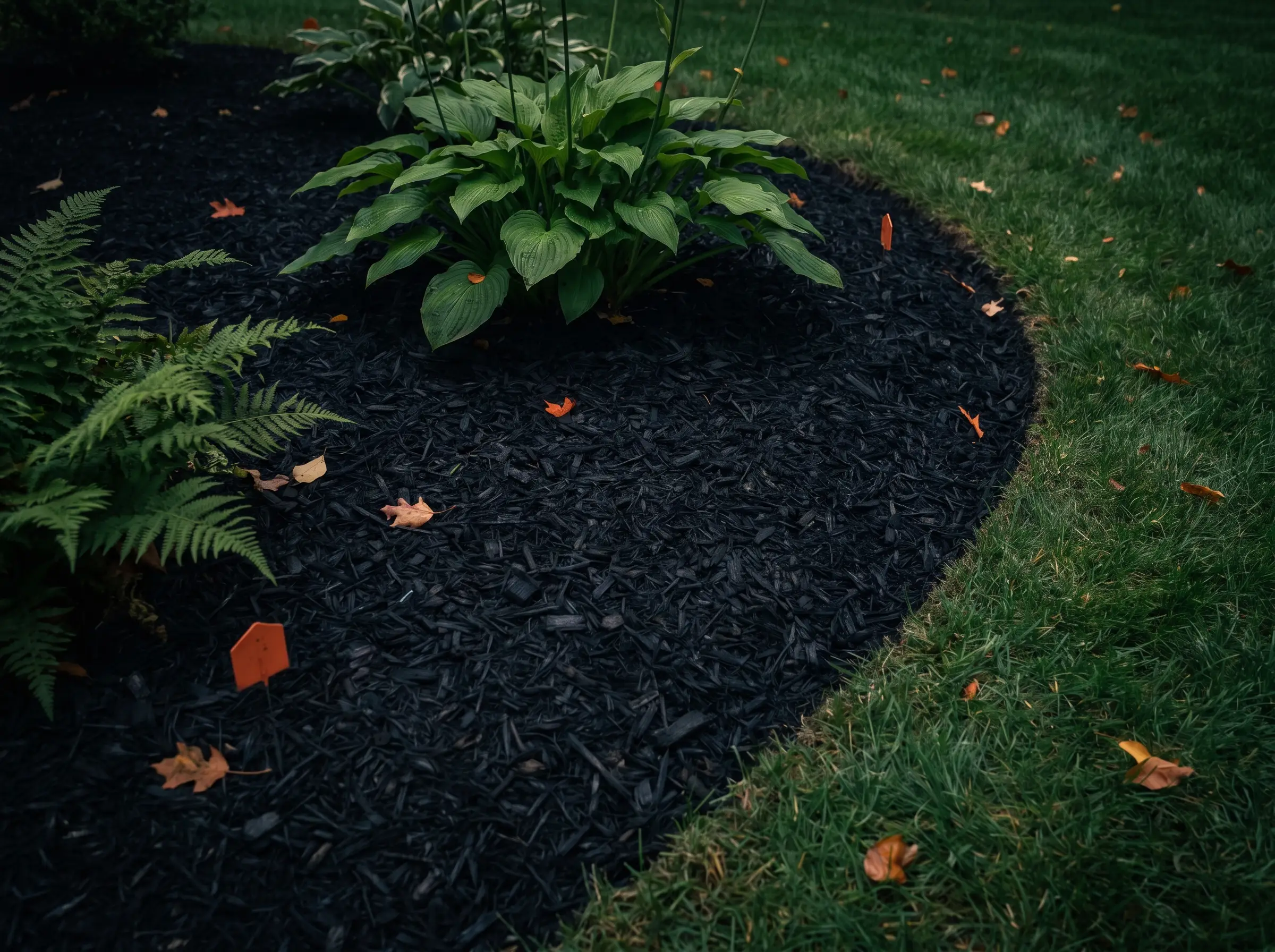 Core aeration on a lawn