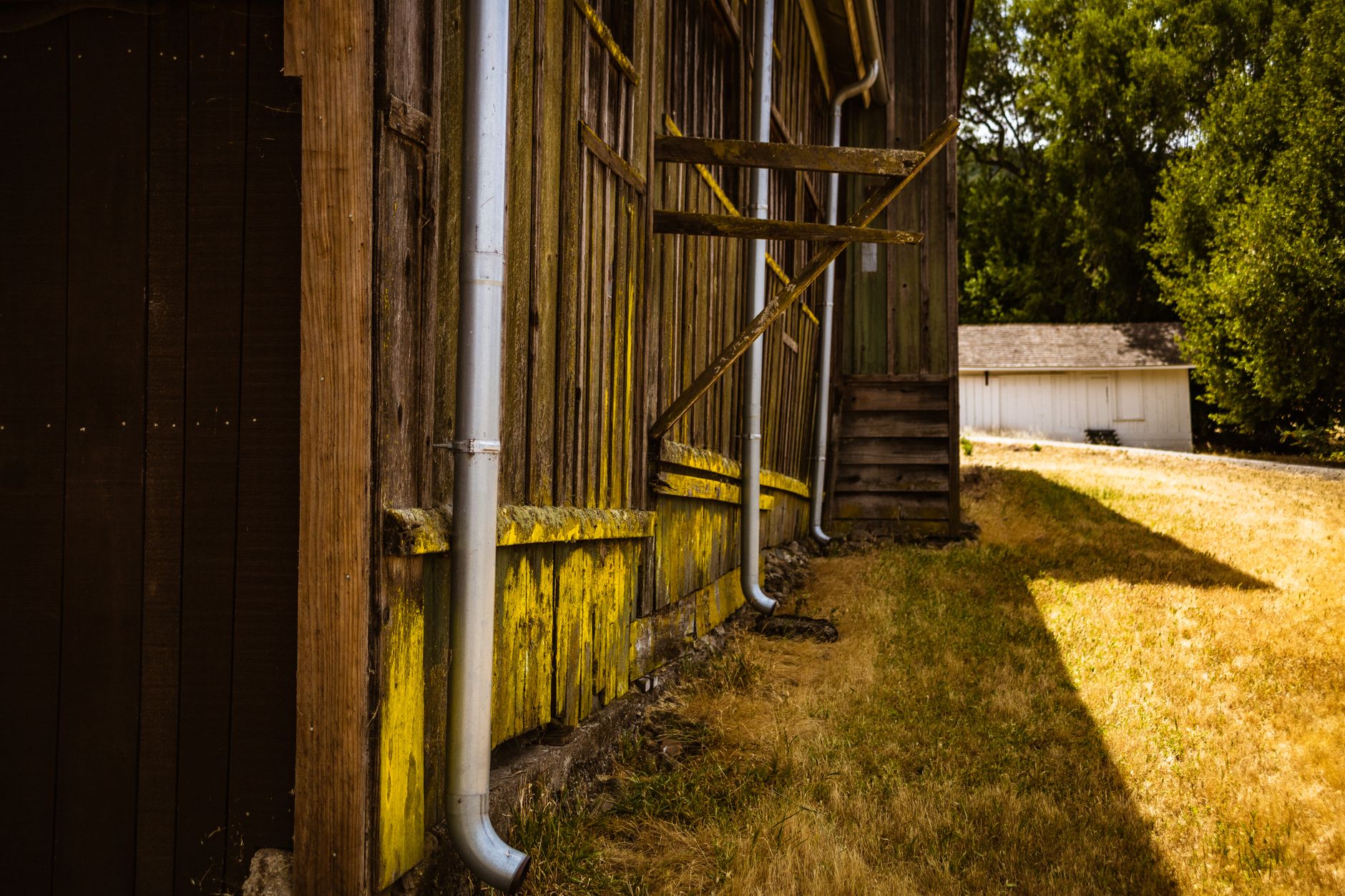 Gutter cleaning and maintenance