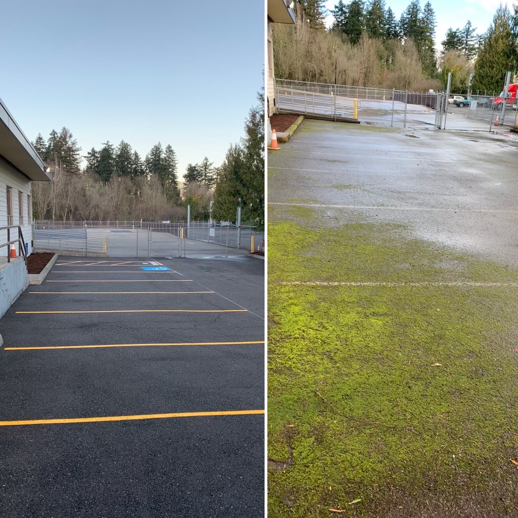 Before and after of a pressure-washed surface