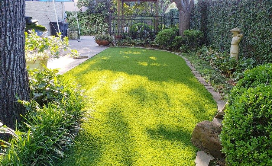 Artificial grass lawn edged with shrubs