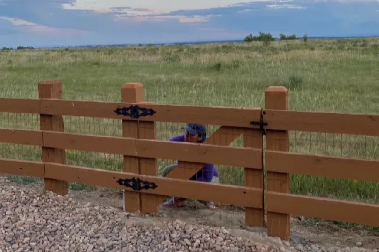 New fence installation