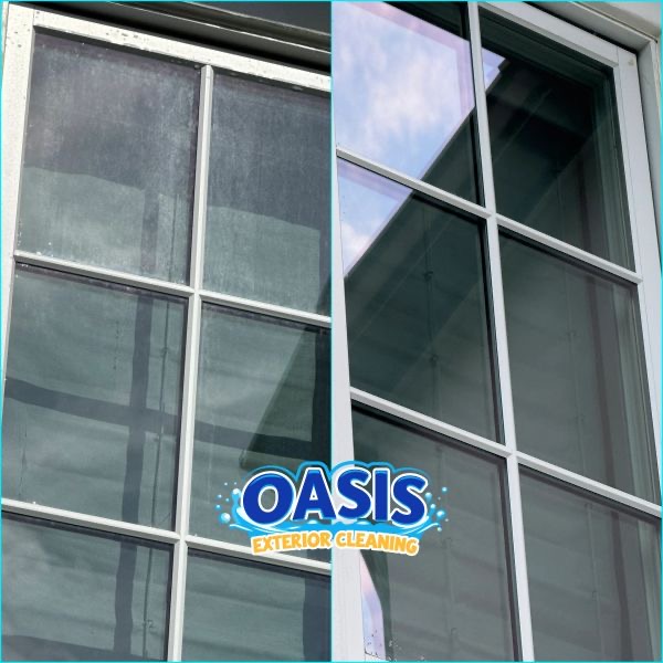 Window cleaning service