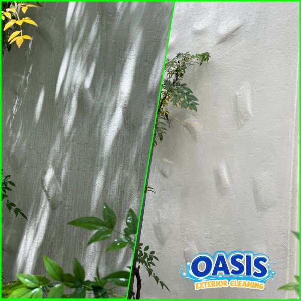 Soft washing service