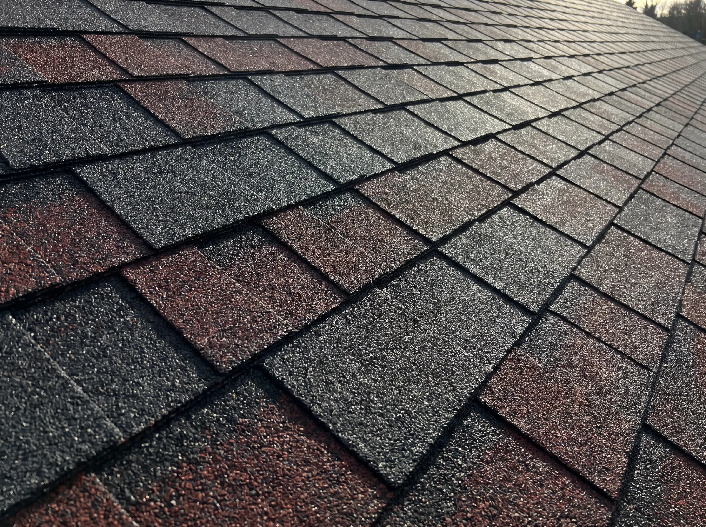Storm & Exterior Repairs