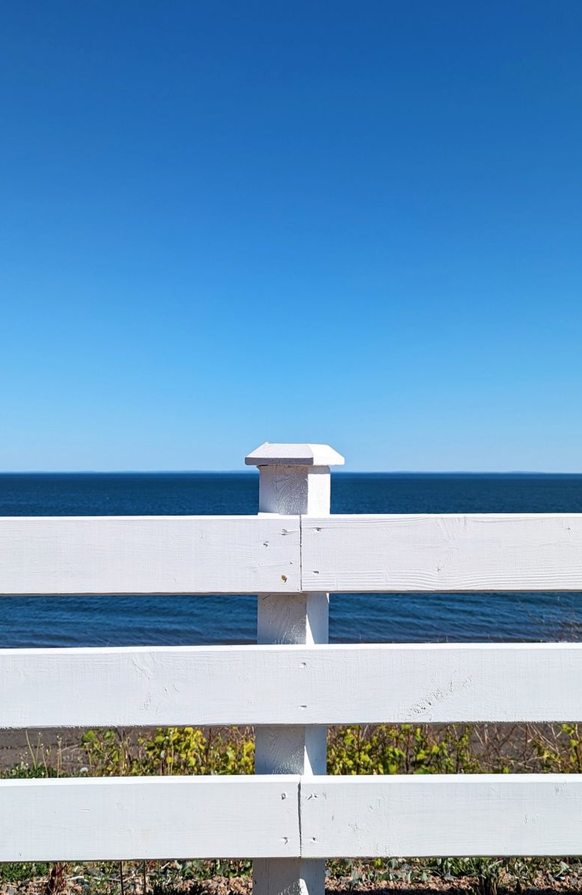 White vinyl fence detail