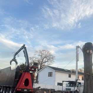 Commercial tree service crew