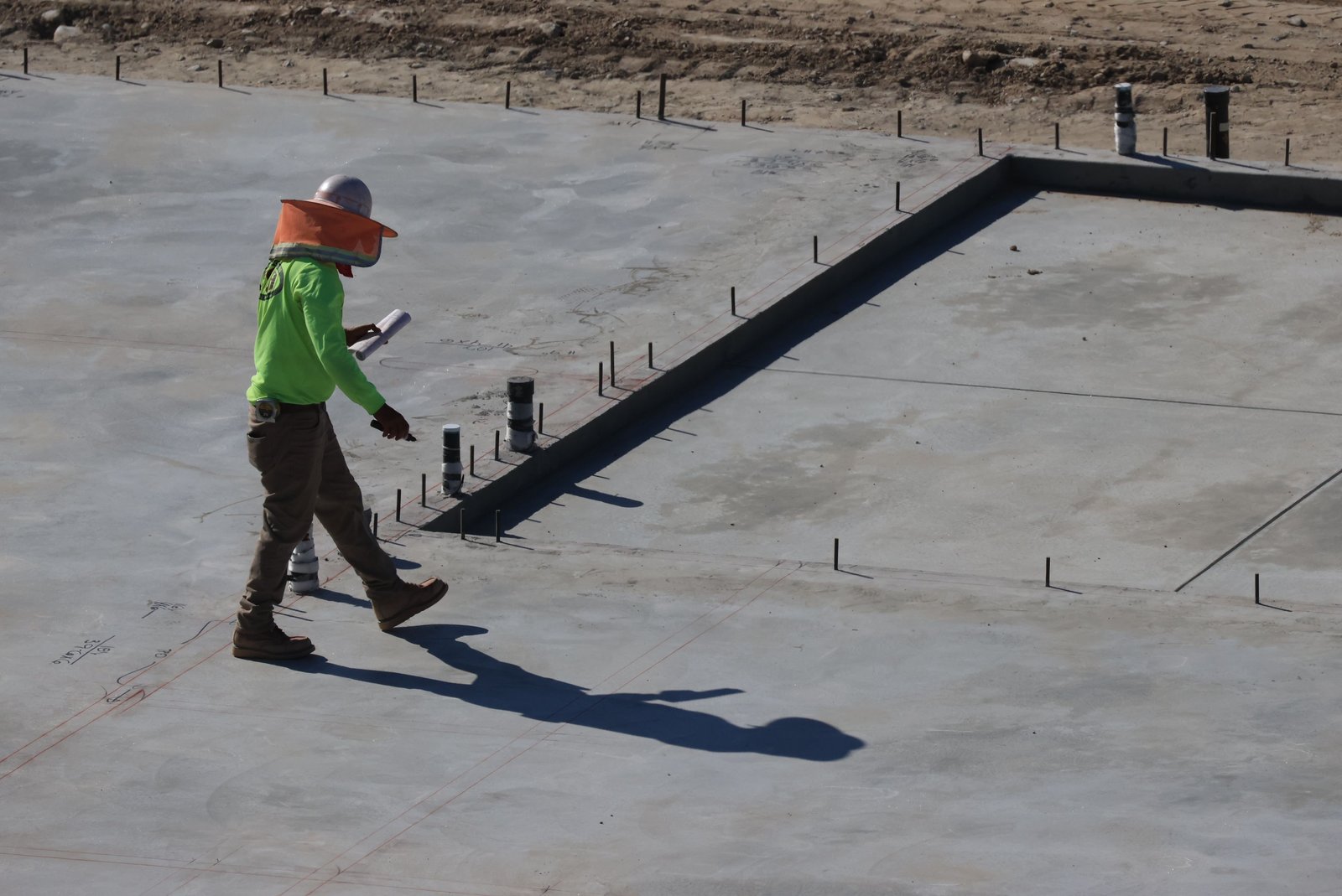 Inspection & Consultation