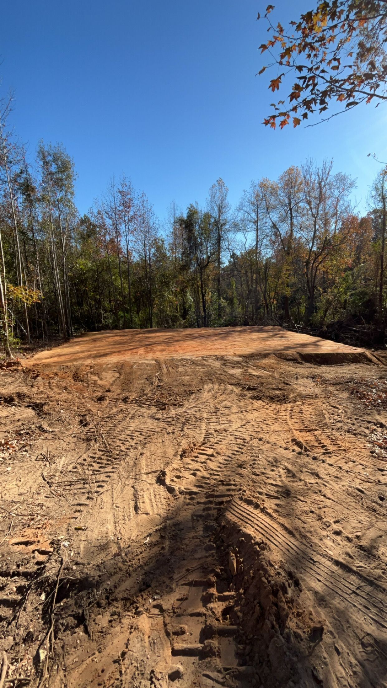 Land cleared for a residential project