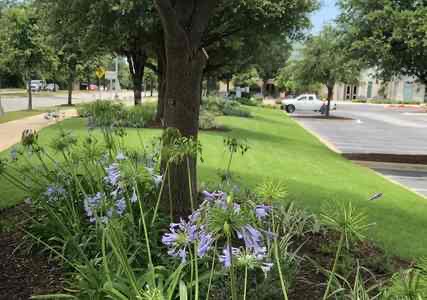 New landscape bed installation