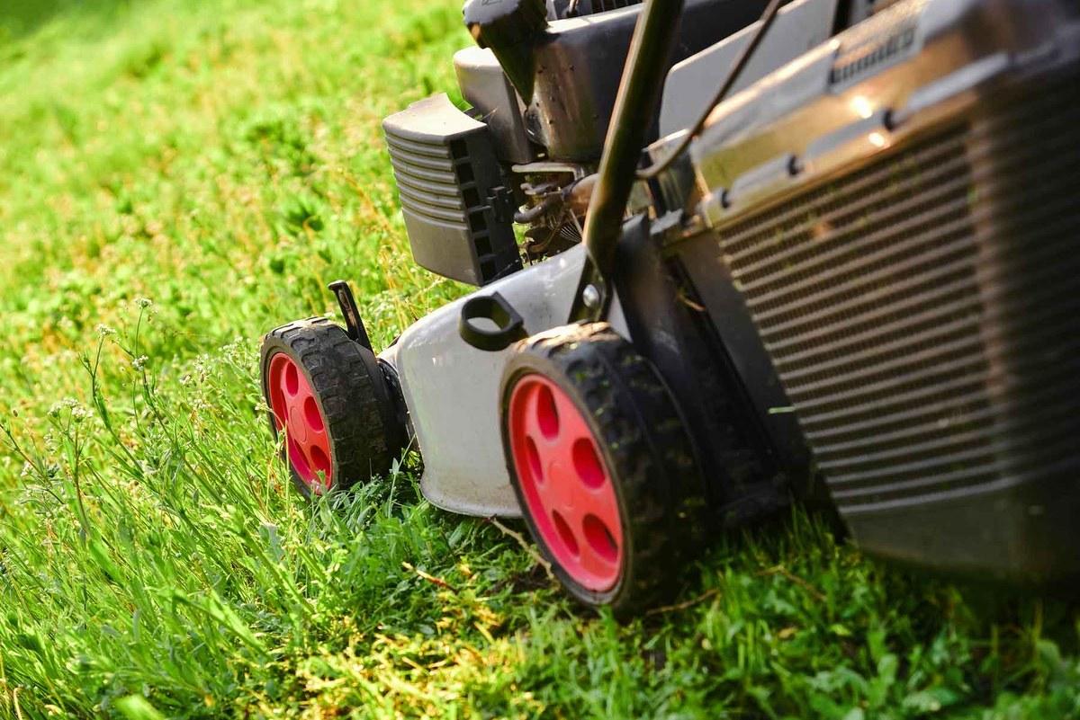 Lawn mowing and maintenance