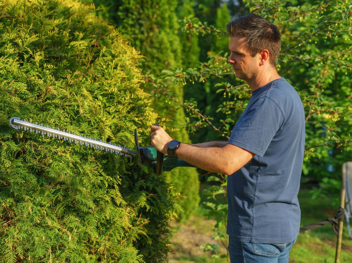 Hedge trimming service